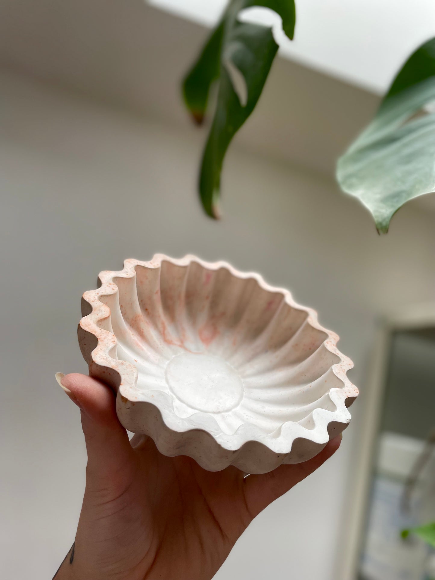 FORMA II peach & white